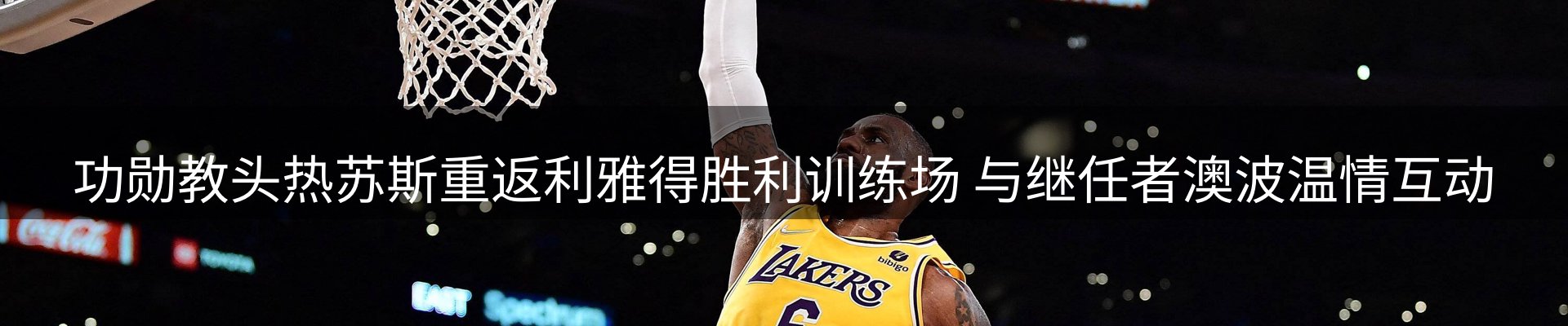 平台导读
