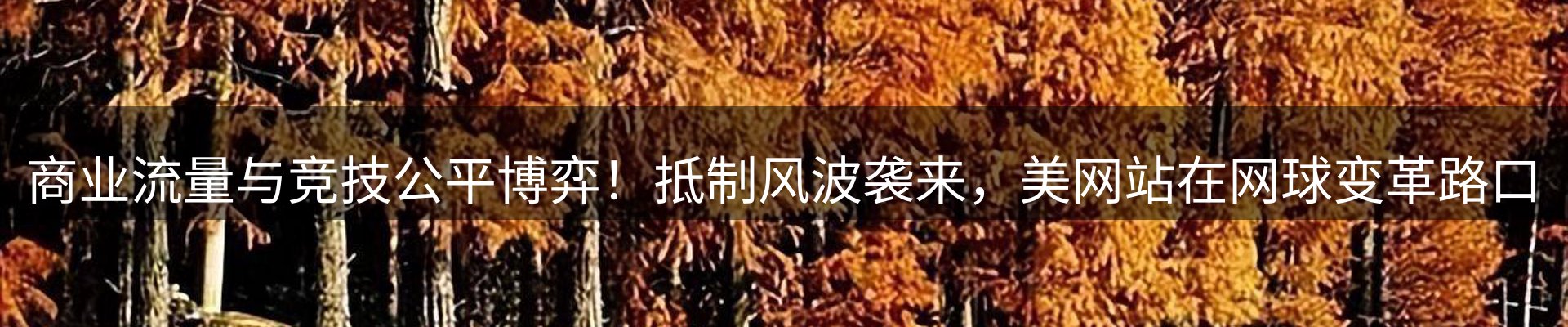 平台导读