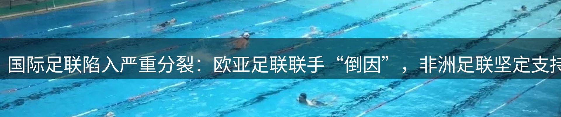 平台导读