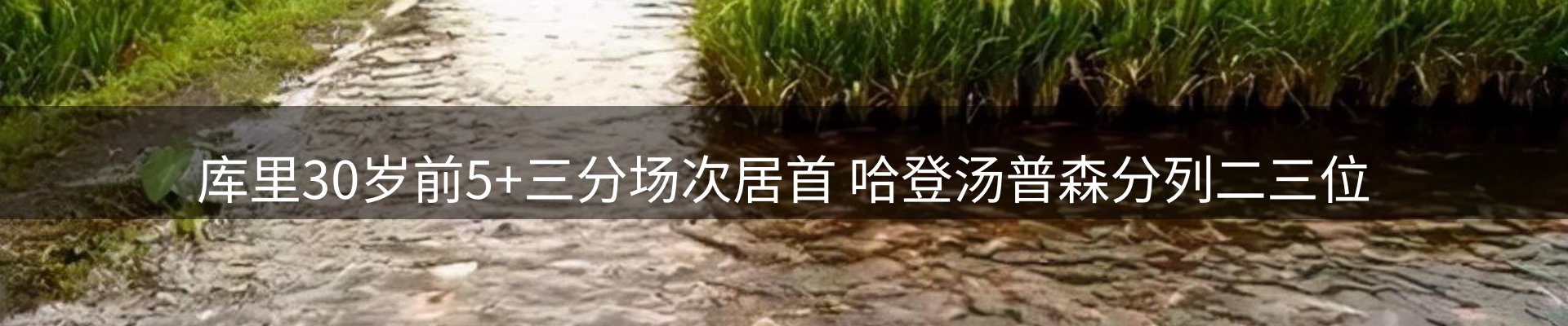 平台导读