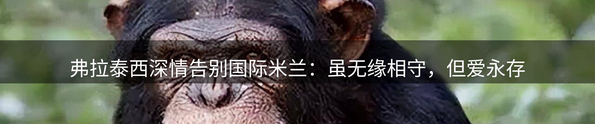 平台导读