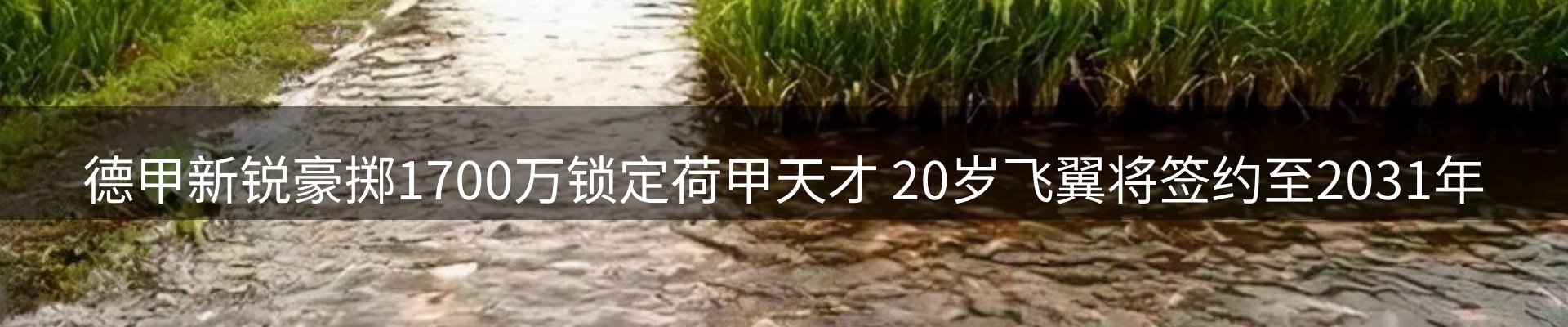 平台导读