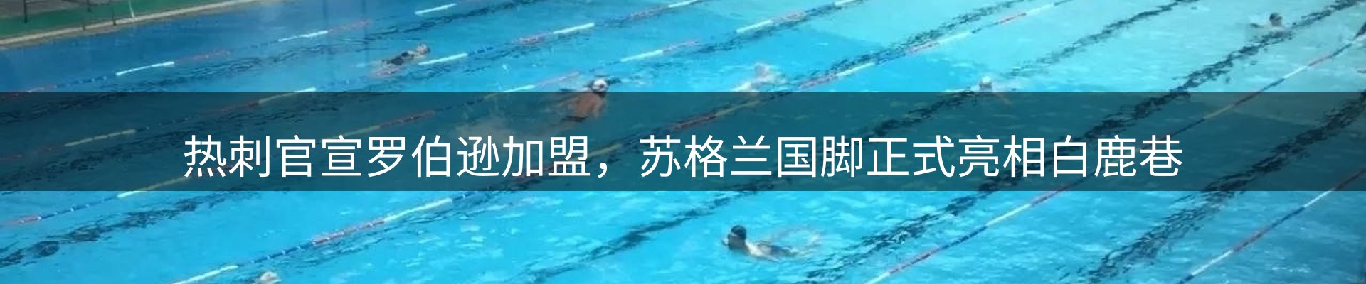 平台导读