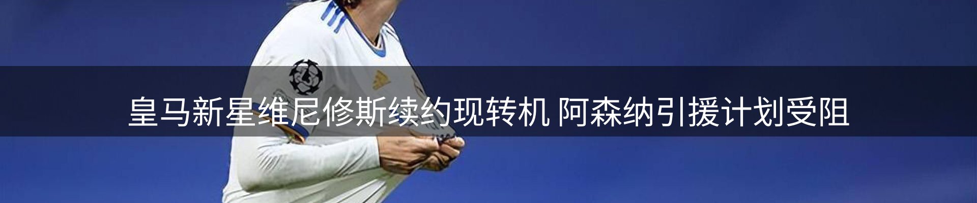 平台导读