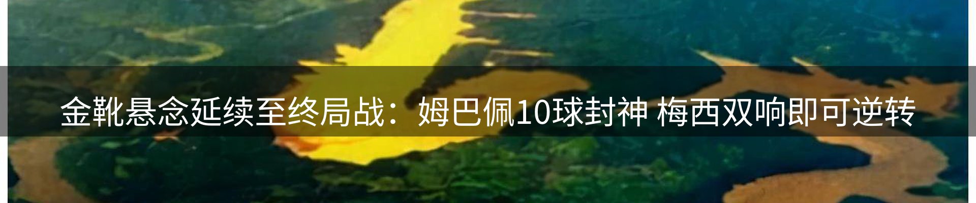平台导读