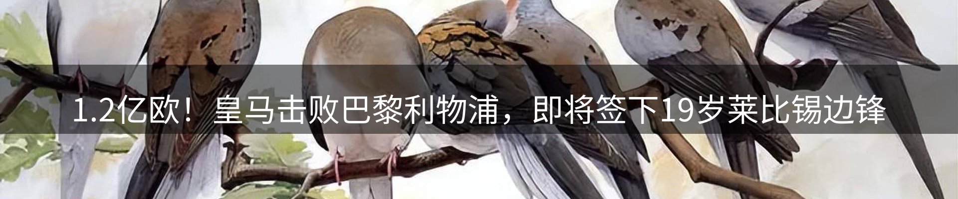 平台导读